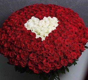 Corporate meeting room with carefully timed floral arrangements that maintain elegance throughout business hours